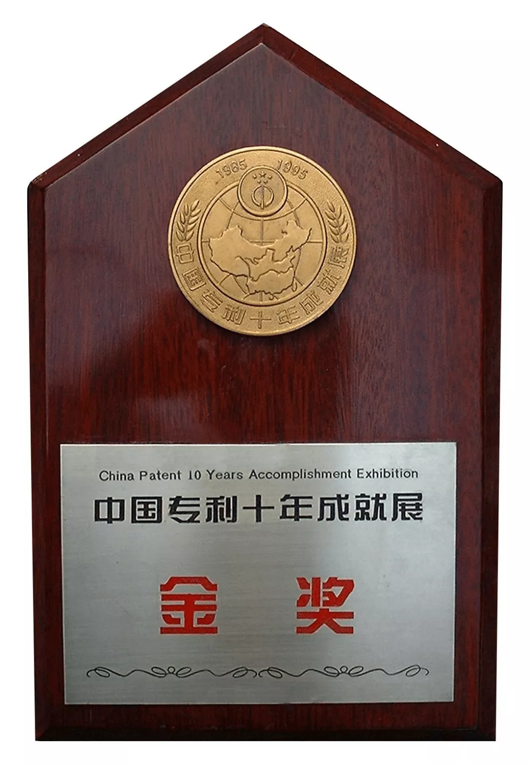中国专利十年成就展金奖