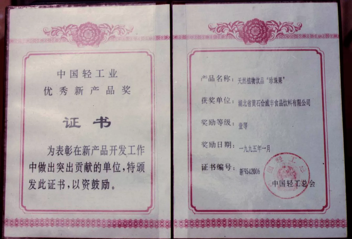 95年中国轻工业优秀新产品奖