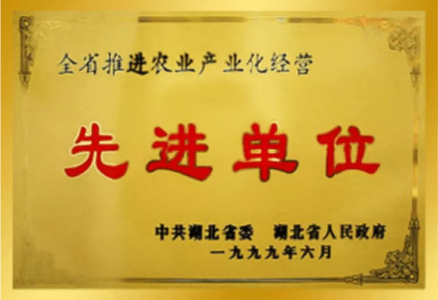 99年全省农业产业化经营先进单位