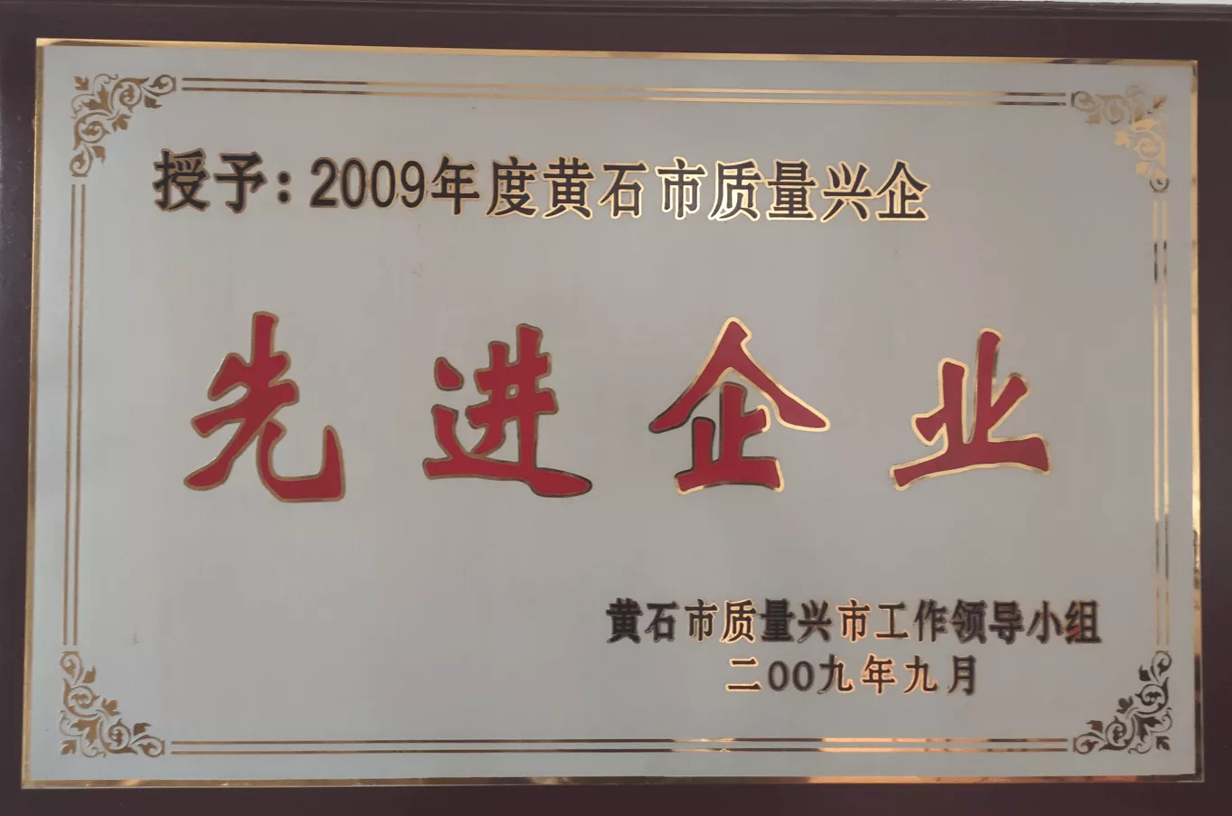 2009先进企业
